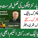 Complete PAVE EV Partner Banks List 2025