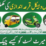 PAVE NEV Balloting 2025