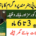 BISP Hunarmand Program