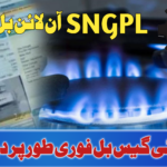SNGPL Online Bill Check