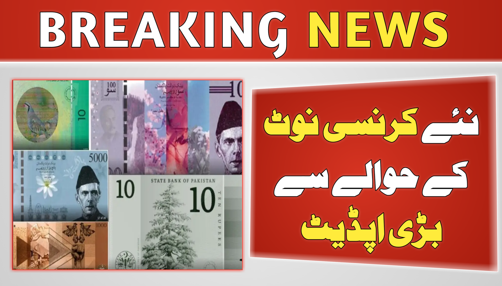 New Currency Notes in Pakistan