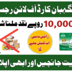 Ramzan Negahban Card Offline Registration