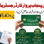 CM Punjab Parwaz Card