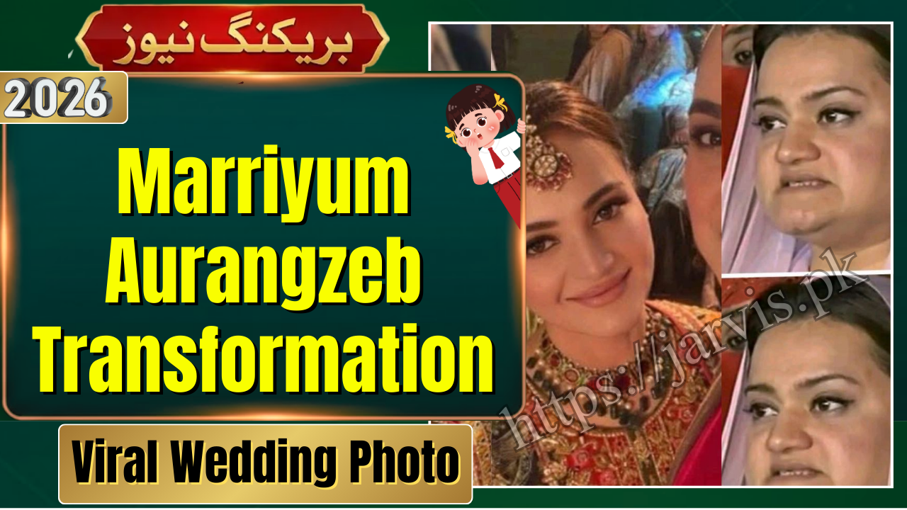 Marriyum Aurangzeb Transformation