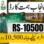 CM Punjab Himmat Card