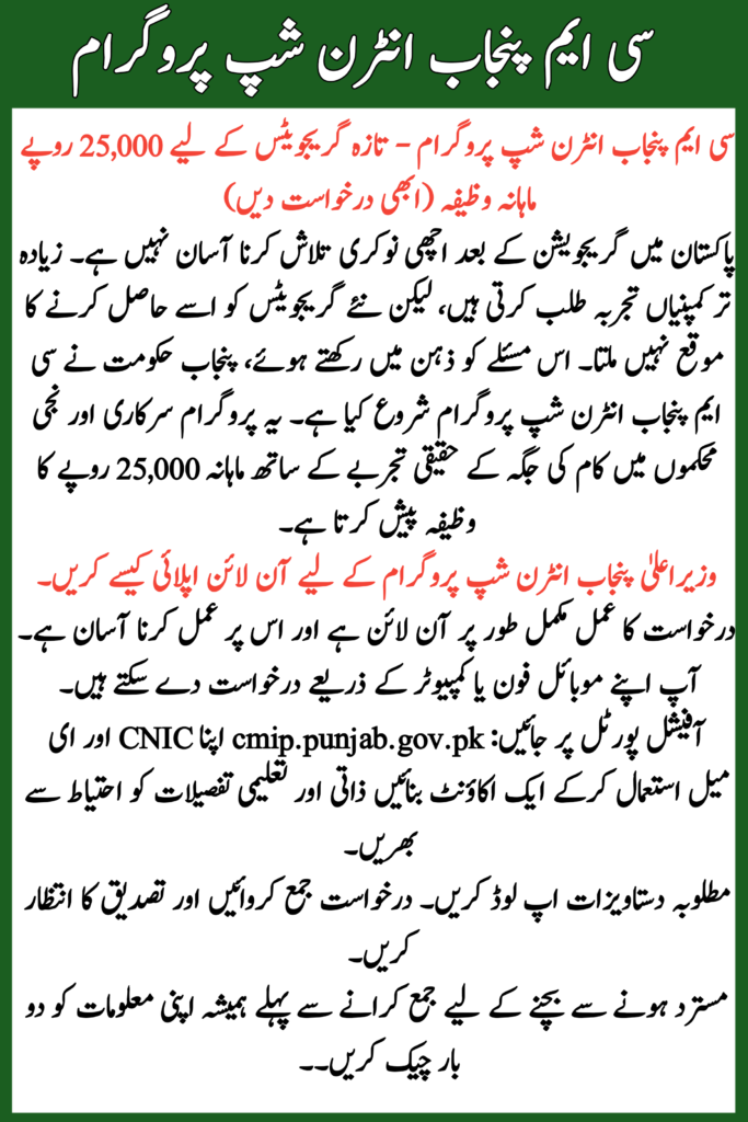 CM Punjab Internship Program