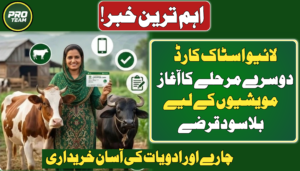 Chief Minister Livestock Card