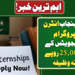 CM Punjab Internship Program