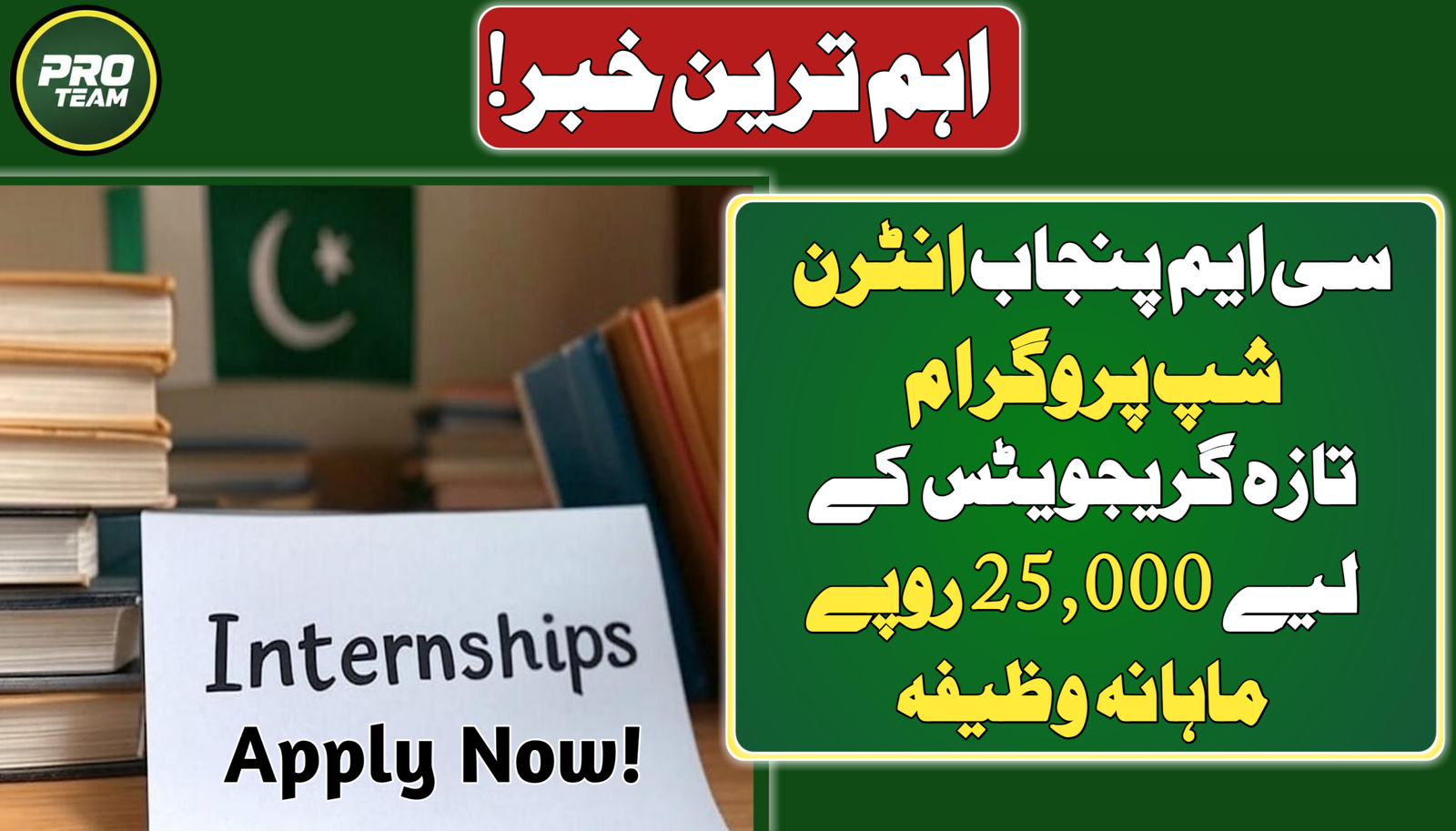 CM Punjab Internship Program