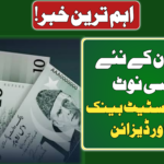 Pakistan New Currency Notes