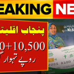 CM Punjab Minority Card